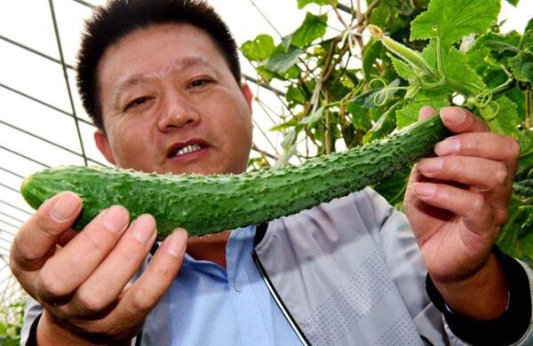 生鮮食材配送為什么大多不能與客戶建立長期合作？